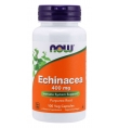 Now Foods Echinacea 400 mg Veg Capsules