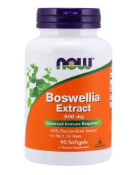 Now Foods Boswellia Extract 500 mg Softgels