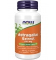 Now Foods Astragalus Extract 500 mg 90 Veg Capsules