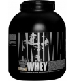 Universal Animal Whey cyprus supplements