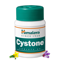 Himalaya Cystone 100 Tablets 2