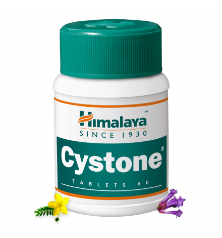 Himalaya Cystone 100 Tablets