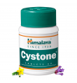 Himalaya Cystone 100 Tablets
