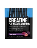 Universal Animal Creatine Chews 1 Serving